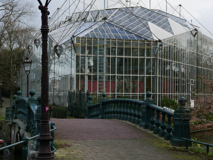 Hortus Botanicus Amsterdam