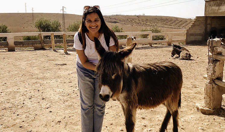 Jarjeer morocco donkey refuge