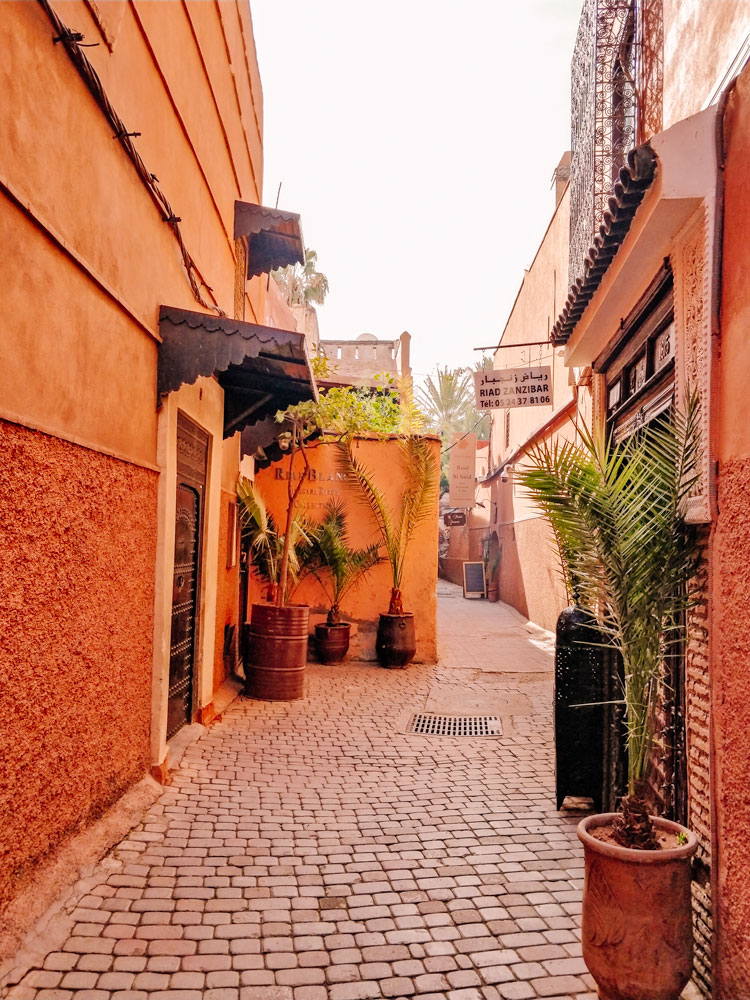 Marrakech Travel Tips: Medina